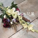 지수샵