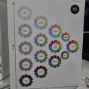 [옥정서부]나만의 색을 찾아서 「퍼스널 컬러」 1차 | 분당 미금 컬러코렉트, 내돈내산 퍼스널 컬러 진단 후기