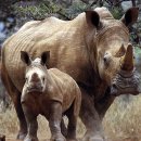 가람공원 이미지