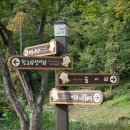 우면산5-4 이미지