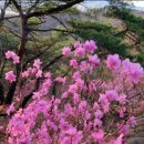 우이천변4(신화초교) 이미지