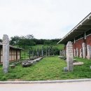 나불도 승마랜드 이미지