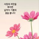 팝송 영상＞ HOW CAN I TELL HER BY:LOBO 이미지