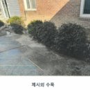 푸른들식품 이미지