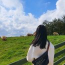 정감목장 이미지