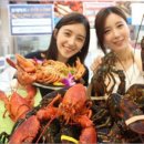 풍년유통 조선비즈