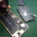 수원-1046 이미지