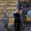 럭키피씨 이미지