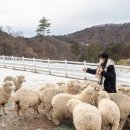 부미목장 이미지