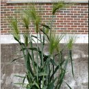 이목마을회관 이미지