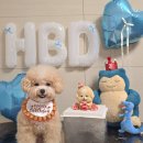 디어 마이 독 이미지