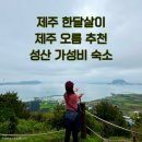 조락 | 제주한달살기 올레 21코스 한치구이 맛집 돌담위에토끼, 제주 오름추천 지미봉 제주 성산 숙소
