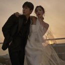 플레타플레르 이미지