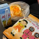 그제 눈왔으니까 겨울 제주여행 비하인드 ㄱㄱ