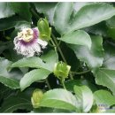 재열농장 이미지