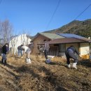 금산군청 이미지