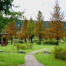 장자호수공원 이미지