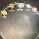 청기와주유소 | [창원 맛집] 부모님과 데이트하기 좋은 창원역 한우 맛집 곰달청기와