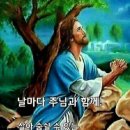 좋았더라 - 충주시 앙암로 756-1 | 좋았더라