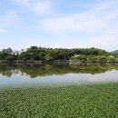 가일마을 이미지