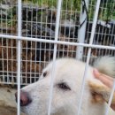 마리의부엌스테이 네이버블로그