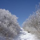 귀전목장 이미지