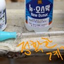 정균농장 Daum카페