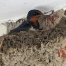 수옥경로당 이미지