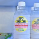 표선그때그집 이미지
