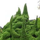 와현농장 | 거제여행 ㅣ 꽃과 바다의 하모니 외도 보타니아 환상의 섬!