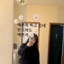 멕시칸치킨 진평점 네이버블로그