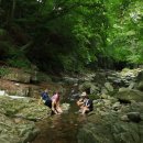 명당농장 이미지