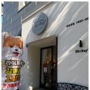 펫독강아지고양이분양미용