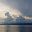 구름강아지 이미지