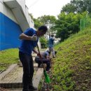 국민정비 이미지