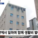 지지고 이미지