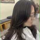 가람헤어라인