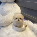 품안에위생관리