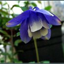 까치울역 2번 출구 이미지