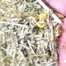 영분농장 이미지