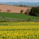 한성부동산 이미지