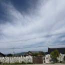 토르스테이 이미지