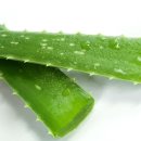 명성보조식품