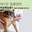 개포동물병원 이미지