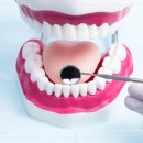 밝은웃음치과의원 이미지