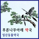 푸른나무아래약국 이미지