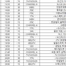 천원궁 박물관 그랜드 오프닝 TV방송광고 일정표＜3.23(일)~3.28.(금)＞ (3.11/~4/15까지 방송) 이미지