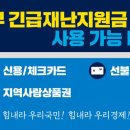 단비여행사 이미지