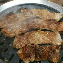 돼지꿈나라 이미지