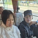 대길상회 이미지